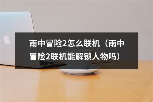 雨中冒险2怎么联机（雨中冒险2联机能解锁人物吗）