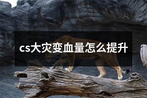 cs大灾变血量怎么提升