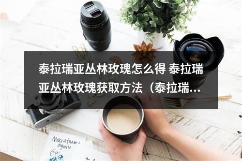 泰拉瑞亚丛林玫瑰怎么得 泰拉瑞亚丛林玫瑰获取方法（泰拉瑞亚丛林之花咋打）