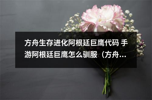 方舟生存进化阿根廷巨鹰代码 手游阿根廷巨鹰怎么驯服（方舟生存进化阿根廷巨鹰怎么驯服视频）