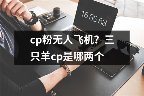cp粉无人飞机？三只羊cp是哪两个