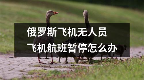 俄罗斯飞机无人员 飞机航班暂停怎么办