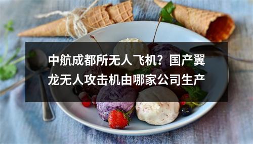 中航成都所无人飞机？国产翼龙无人攻击机由哪家公司生产