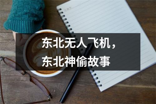 东北无人飞机，东北神偷故事