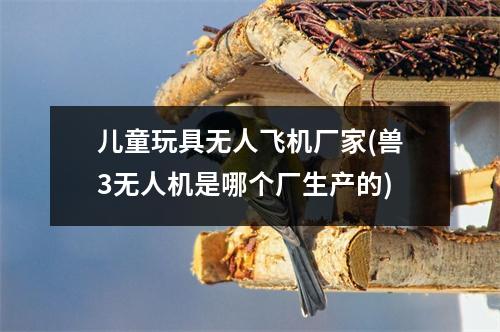 儿童玩具无人飞机厂家(兽3无人机是哪个厂生产的)