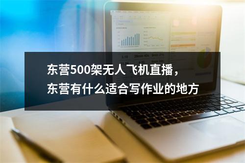 东营500架无人飞机直播，东营有什么适合写作业的地方