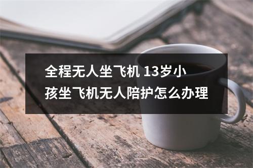 全程无人坐飞机 13岁小孩坐飞机无人陪护怎么办理