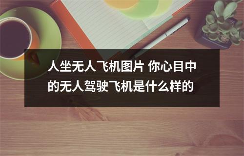 人坐无人飞机图片 你心目中的无人驾驶飞机是什么样的