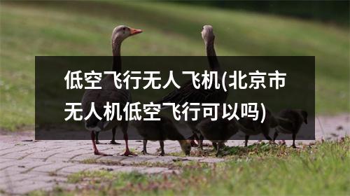 低空飞行无人飞机(北京市无人机低空飞行可以吗)