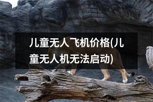 儿童无人飞机价格(儿童无人机无法启动)