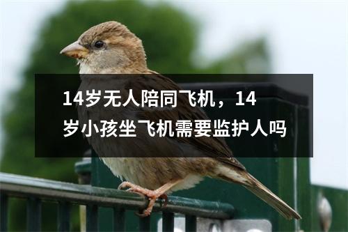 14岁无人陪同飞机，14岁小孩坐飞机需要监护人吗