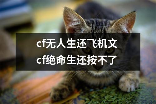 cf无人生还飞机文 cf绝命生还按不了