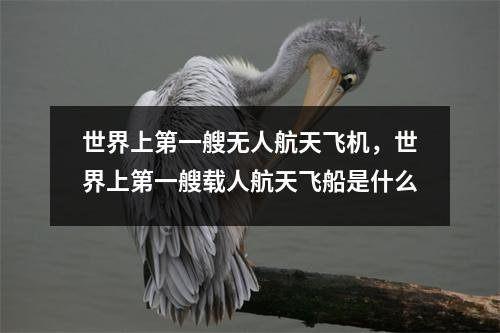 世界上第一艘无人航天飞机，世界上第一艘载人航天飞船是什么