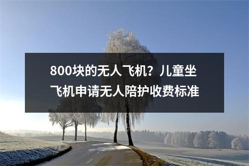 800块的无人飞机？儿童坐飞机申请无人陪护收费标准