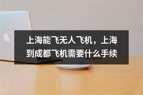 上海能飞无人飞机，上海到成都飞机需要什么手续