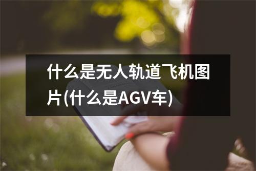 什么是无人轨道飞机图片(什么是AGV车)