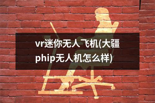 vr迷你无人飞机(大疆phip无人机怎么样)