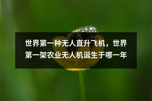 世界第一种无人直升飞机，世界第一架农业无人机诞生于哪一年