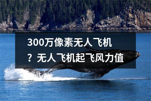 300万像素无人飞机？无人飞机起飞风力值
