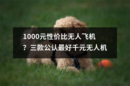 1000元性价比无人飞机？三款公认最好千元无人机
