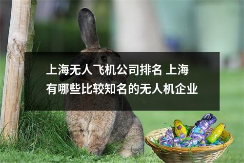 上海无人飞机公司排名 上海有哪些比较知名的无人机企业