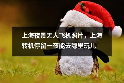 上海夜景无人飞机照片，上海转机停留一夜能去哪里玩儿