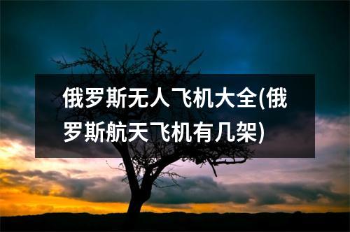 俄罗斯无人飞机大全(俄罗斯航天飞机有几架)