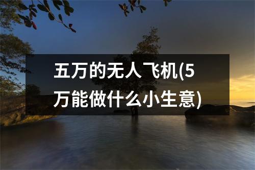 五万的无人飞机(5万能做什么小生意)