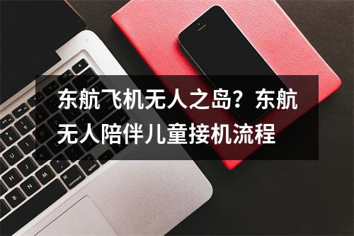 东航飞机无人之岛？东航无人陪伴儿童接机流程