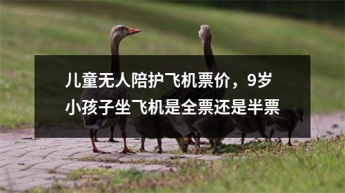 儿童无人陪护飞机票价，9岁小孩子坐飞机是全票还是半票