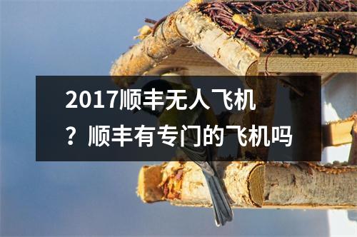 2017顺丰无人飞机？顺丰有专门的飞机吗