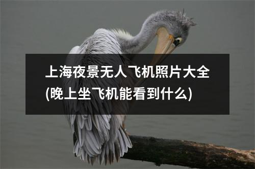 上海夜景无人飞机照片大全(晚上坐飞机能看到什么)