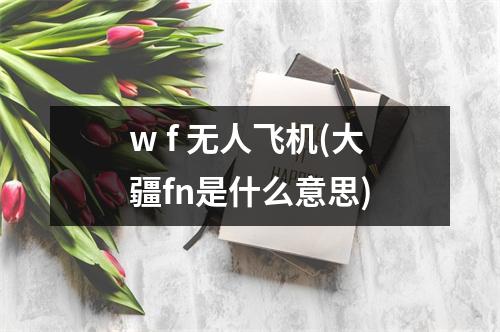 w f 无人飞机(大疆fn是什么意思)