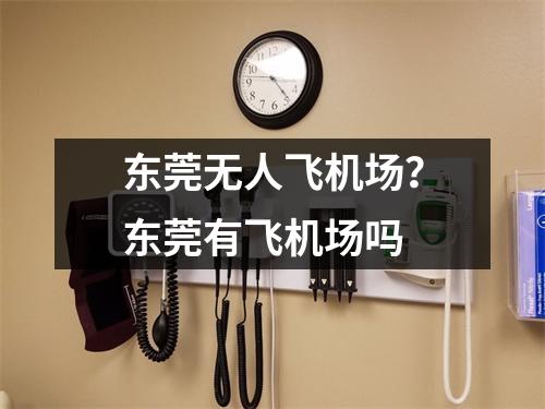 东莞无人飞机场？东莞有飞机场吗