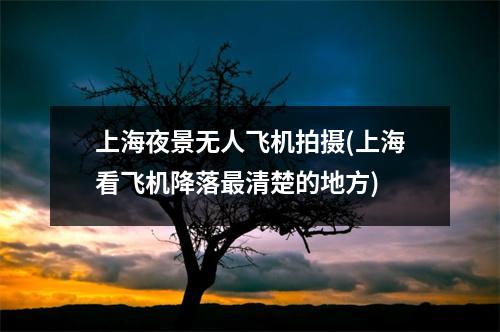 上海夜景无人飞机拍摄(上海看飞机降落最清楚的地方)