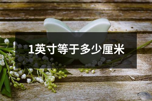 1英寸等于多少厘米