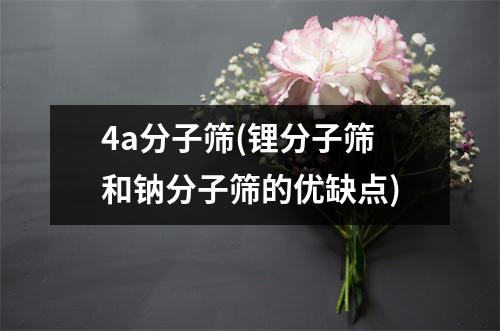 4a分子筛(锂分子筛和钠分子筛的优缺点)