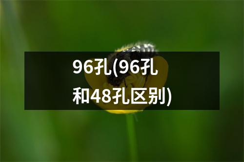 96孔(96孔和48孔区别)