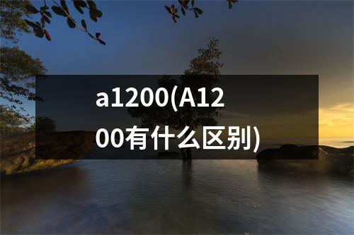 a1200(A1200有什么区别)