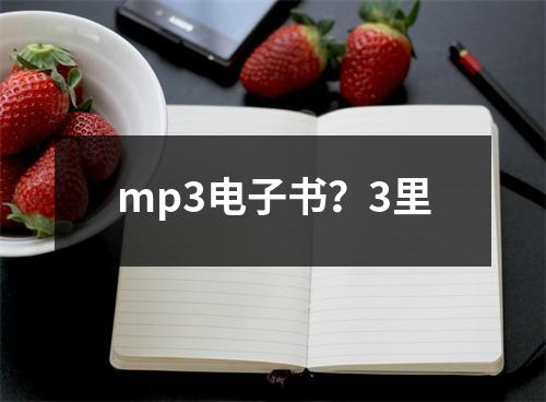 mp3电子书？3里