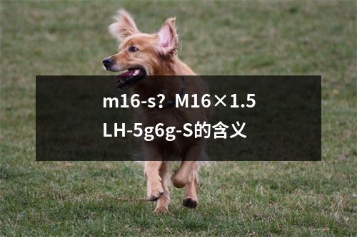 m16-s？M16×1.5LH-5g6g-S的含义