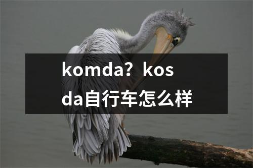 komda？kosda自行车怎么样