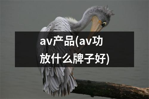 av产品(av功放什么牌子好)