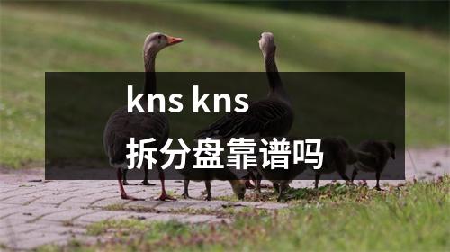 kns kns拆分盘靠谱吗