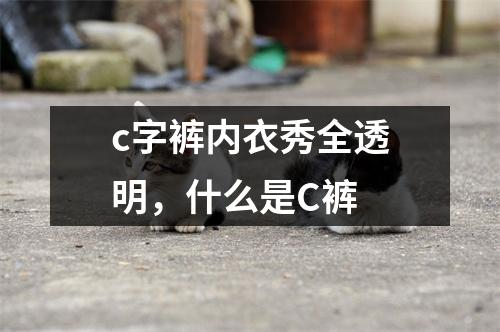 c字裤内衣秀全透明，什么是C裤
