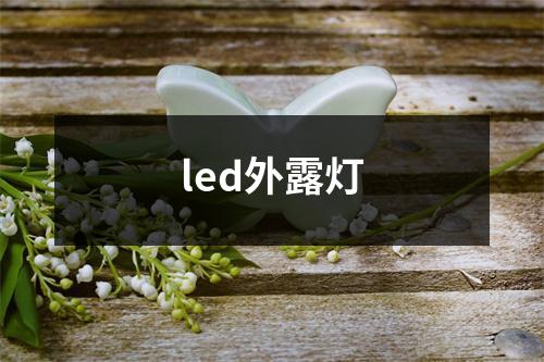 led外露灯
