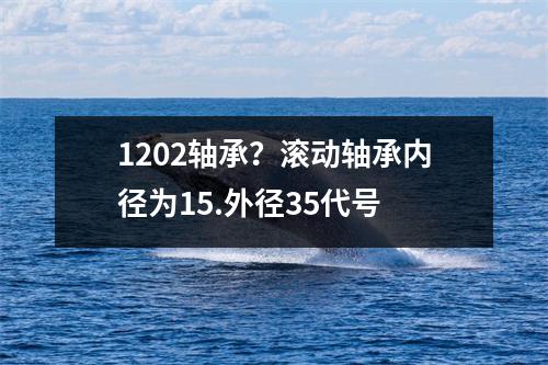 1202轴承？滚动轴承内径为15.外径35代号
