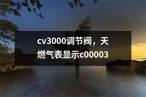 cv3000调节阀，天燃气表显示c00003