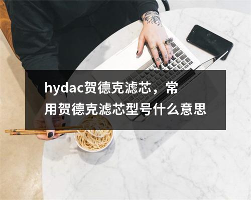 hydac贺德克滤芯，常用贺德克滤芯型号什么意思