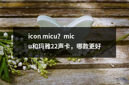 icon micu？micu和玛雅22声卡，哪款更好